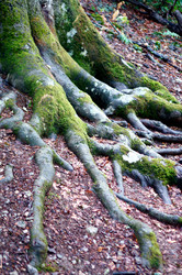 Similar image 13085640