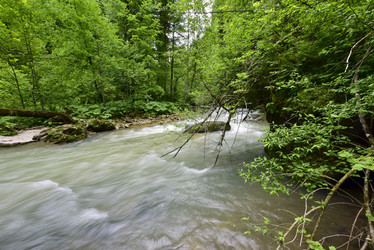 Similar image 13082433