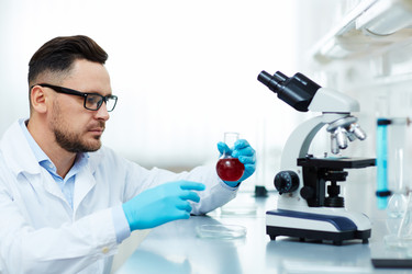 Similar image 13082260