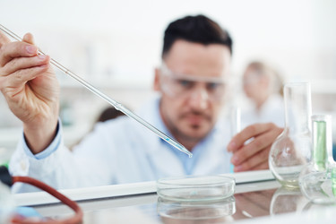 Similar image 13082322