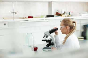 Similar image 13082360