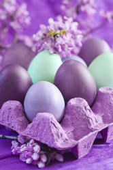 Similar image 13086291