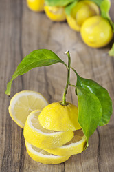 Similar image 13086317