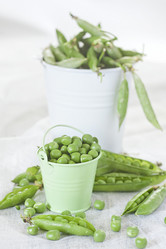 Similar image 13086335