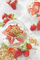 Similar image 13086338