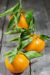 Similar image 13086418