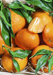 Similar image 13086436