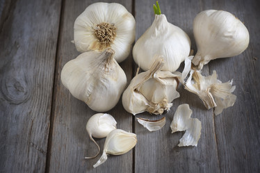 Similar image 13086460