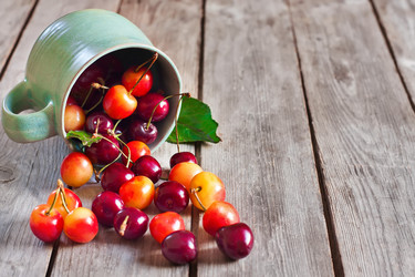 Similar image 13082829