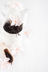 Similar image 13082855