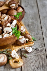 Similar image 13086703