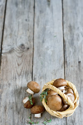 Similar image 13082797