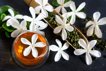 Similar image 13082839