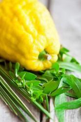 Similar image 13086160