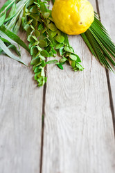 Similar image 13086177