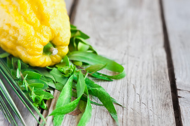 Similar image 13086178