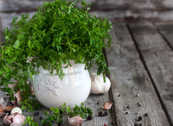 Similar image 13086205