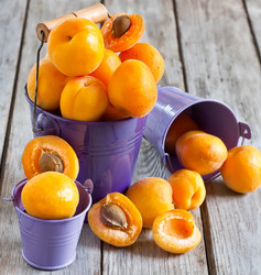 Similar image 13086708