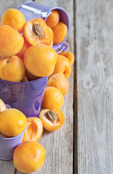 Similar image 13086747