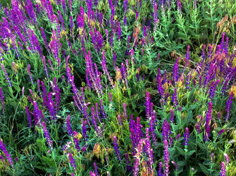 Similar image 13082635