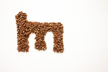 Similar image 13090502