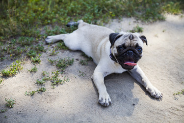 Similar image 13096028