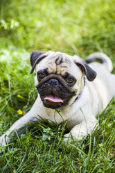 Similar image 13096058