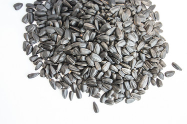 Similar image 13095169