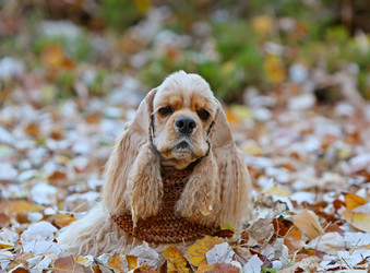 Similar image 13085645