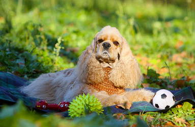 Similar image 13085652