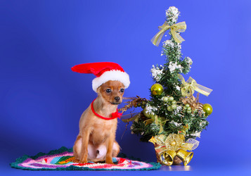 Similar image 13091429