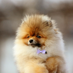 Similar image 13085653