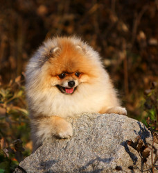 Similar image 13085654