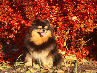 Similar image 13085655