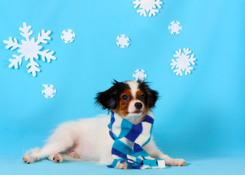 Similar image 13085657