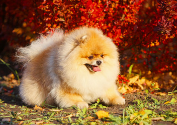 Similar image 13106811