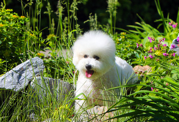 Similar image 13094823