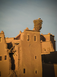 Similar image 13103174