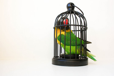 Similar image 13099048