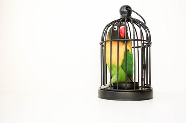 Similar image 13099049