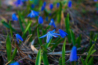 Similar image 13099671