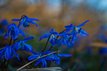 Similar image 13099672