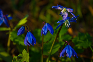 Similar image 13099673