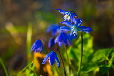 Similar image 13099675