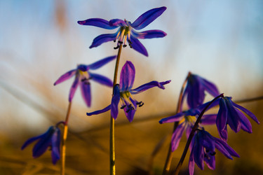 Similar image 13099676