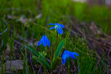 Similar image 13099678