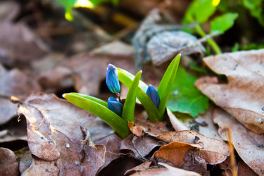 Similar image 13103003