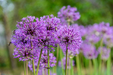 Similar image 13085988