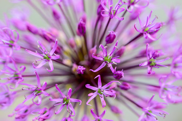 Similar image 13085991