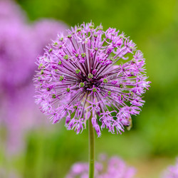 Similar image 13085992